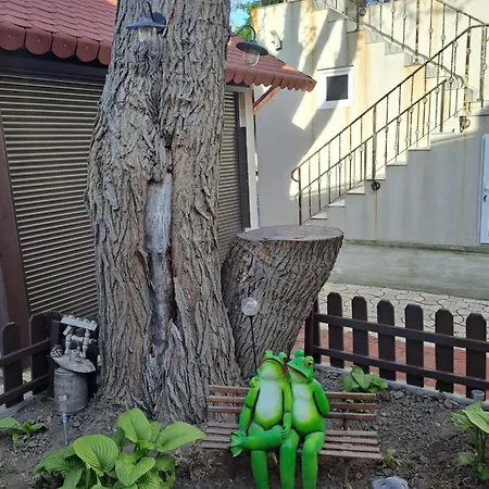 Guest house Casa Ancuta Eforie Sud *